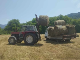  Zetor 8045 | Mobile.bg    4