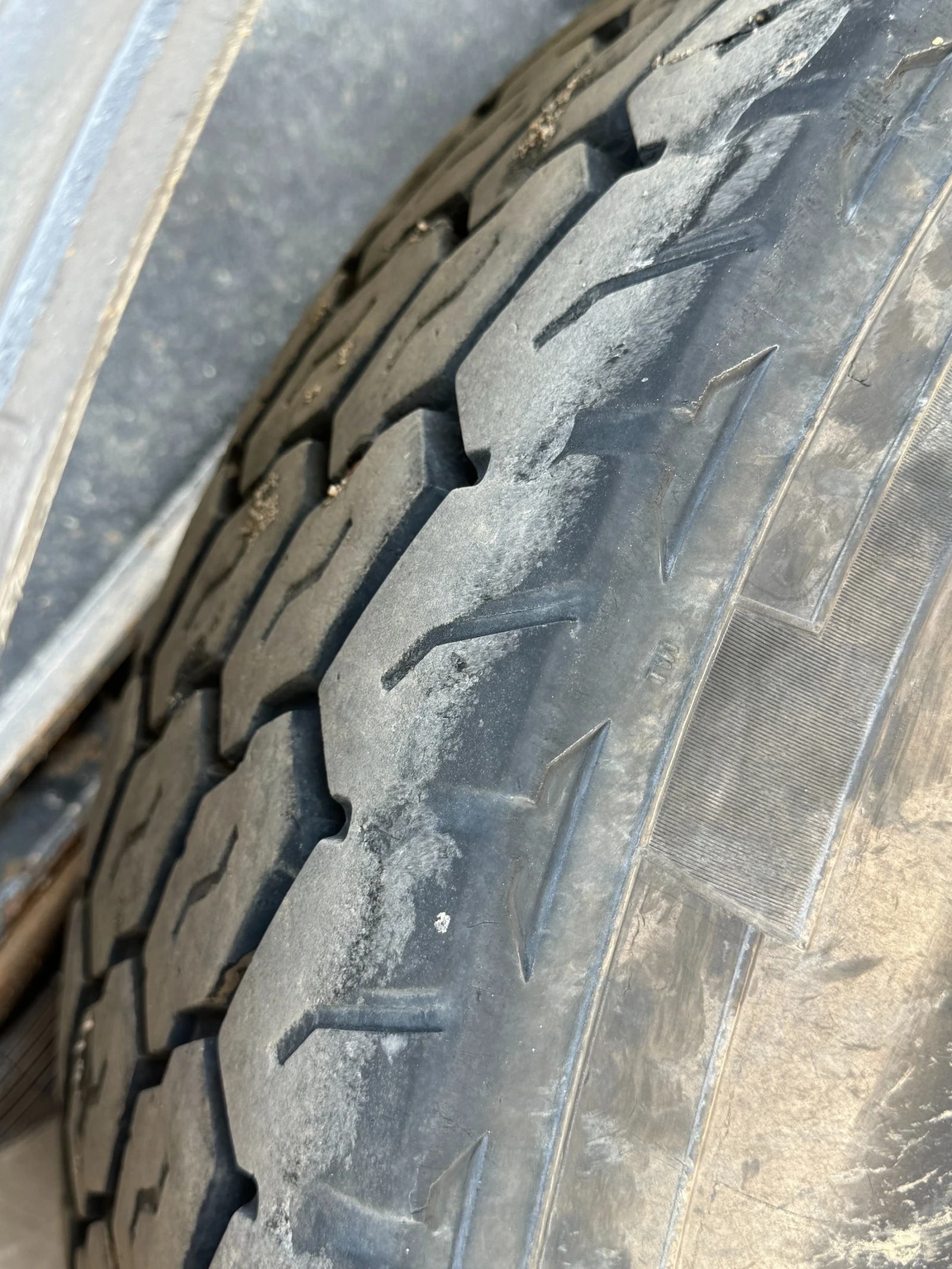   CARNEHL CHKS/HH | Mobile.bg   10