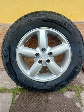 ������ ���� � ������