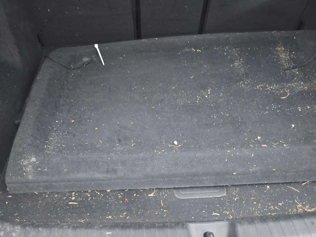 Audi E-Tron * 50 quattro * 2 ����� * 360 * ������� * ����� | Mobile.bg � ����������� 14