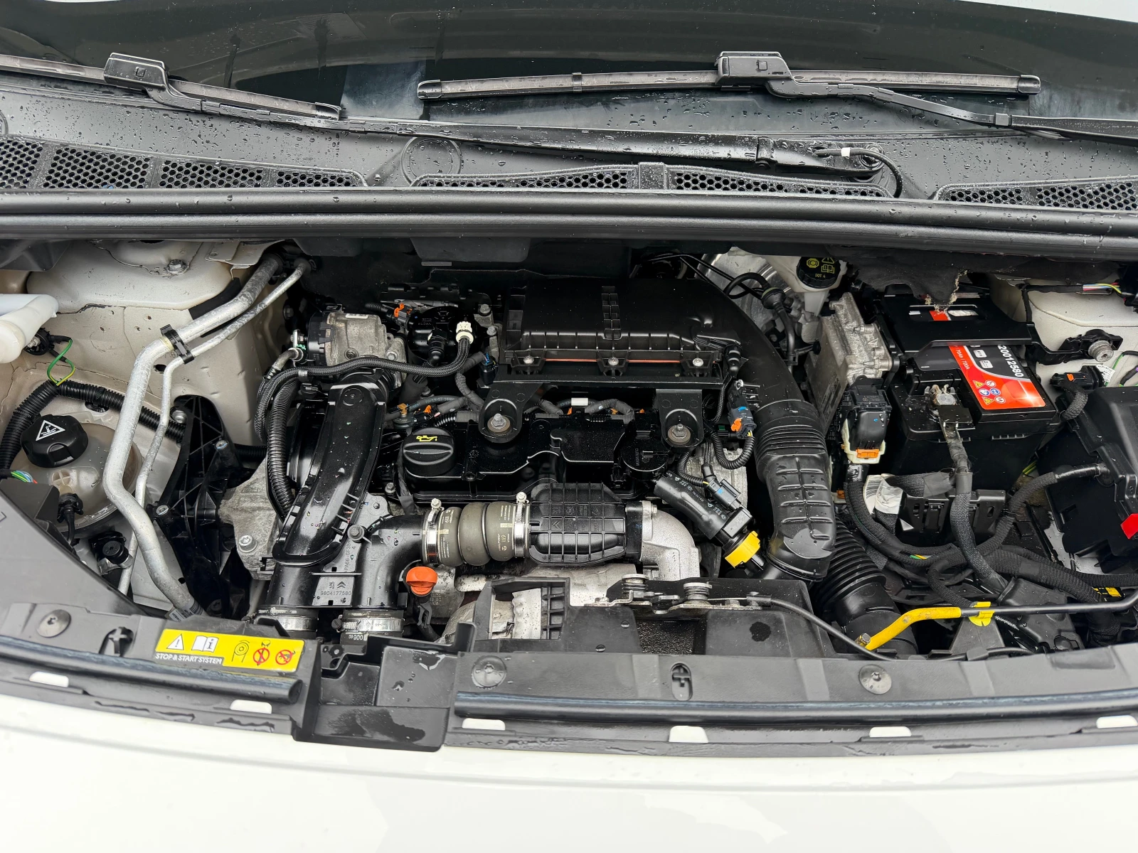 Citroen Berlingo 1.6HDI* MAXI* 13.08.2019* EVRO6, снимка 13 - Автомобили и джипове - 54096499