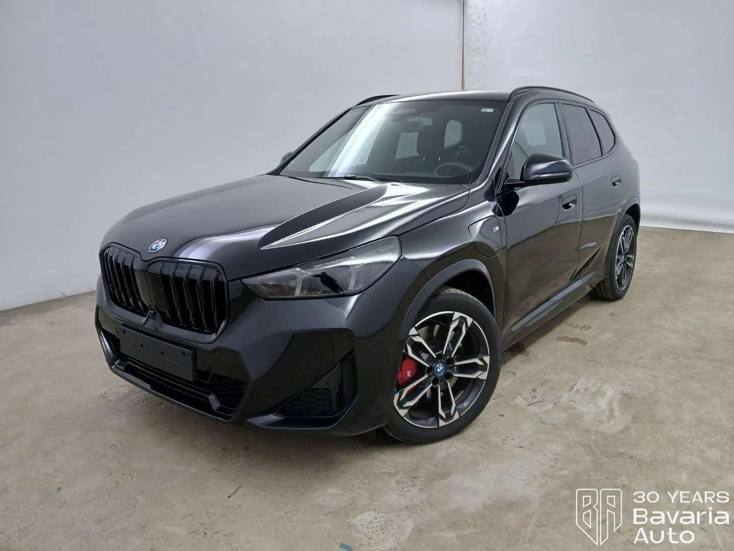 BMW X1 30e xDrive M Sport Paket Steptronic