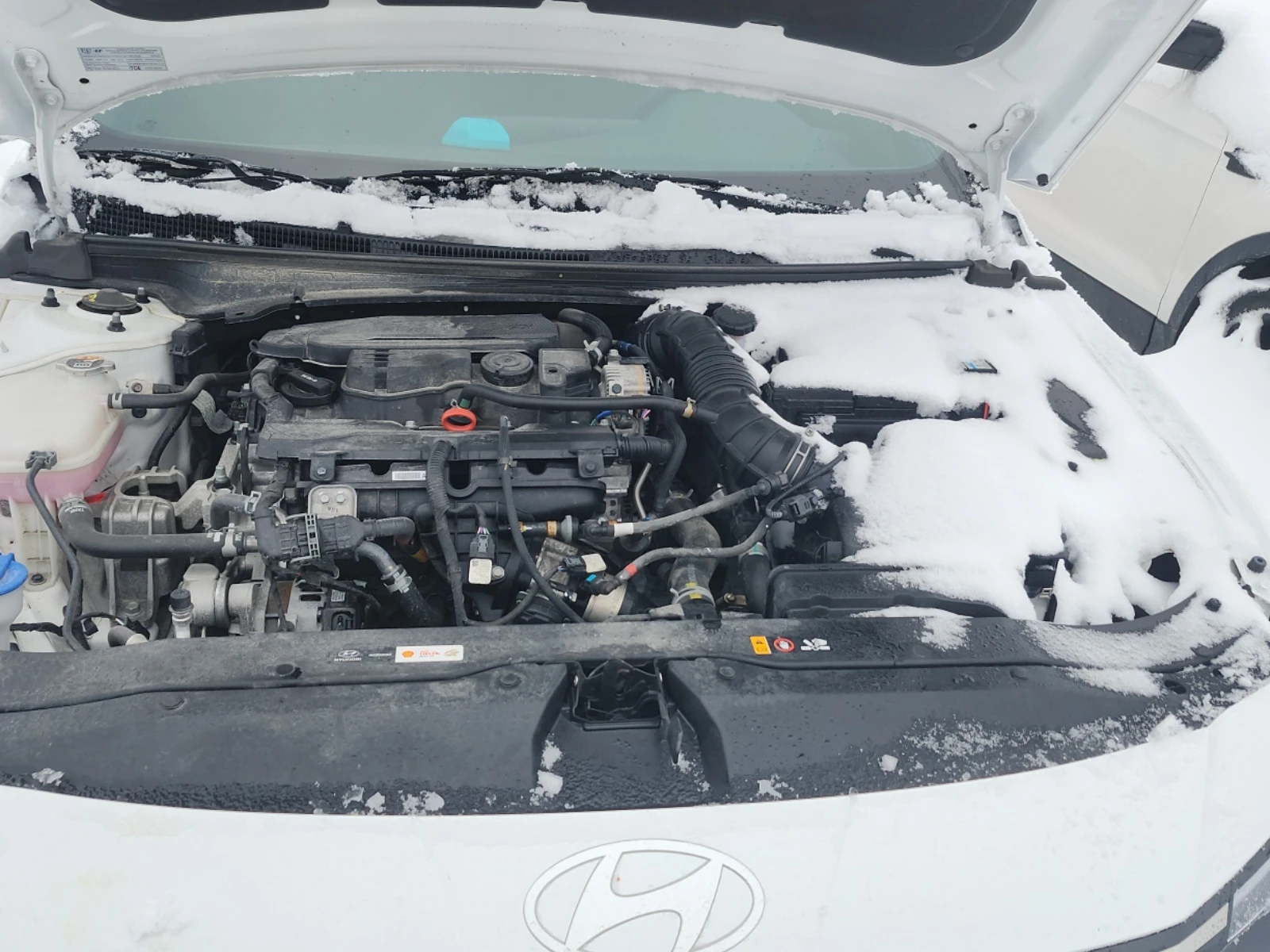 Hyundai Elantra N Line Ultimate - изображение 9