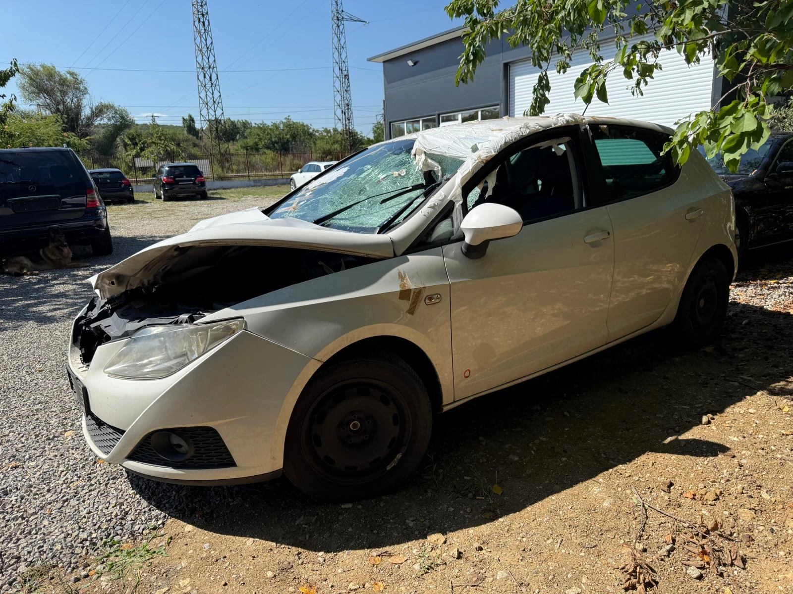 Seat Ibiza 1.2TDI, снимка 2 - Автомобили и джипове - 55446604