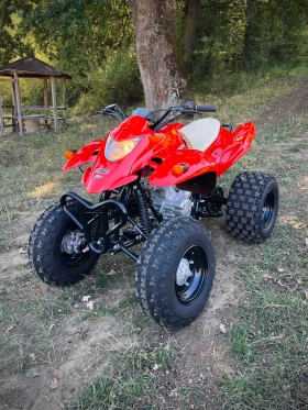     Honda 250