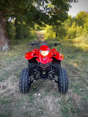 Honda 250 | Mobile.bg    2
