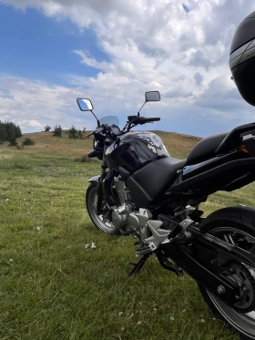 Honda Cbf HONDA CBF 500 | Mobile.bg � ����� ������ 5