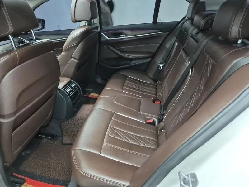 BMW 520 LUXURY PLUS, снимка 12 - Автомобили и джипове - 54778785