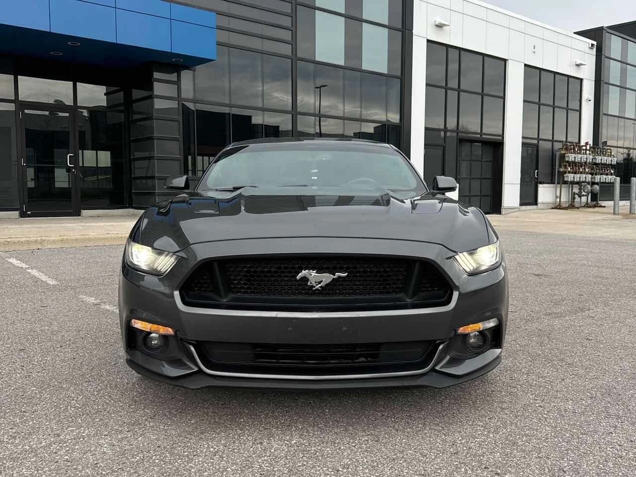 Ford Mustang * GT * CARFAX * ���� �� �� | Mobile.bg � ����������� 3