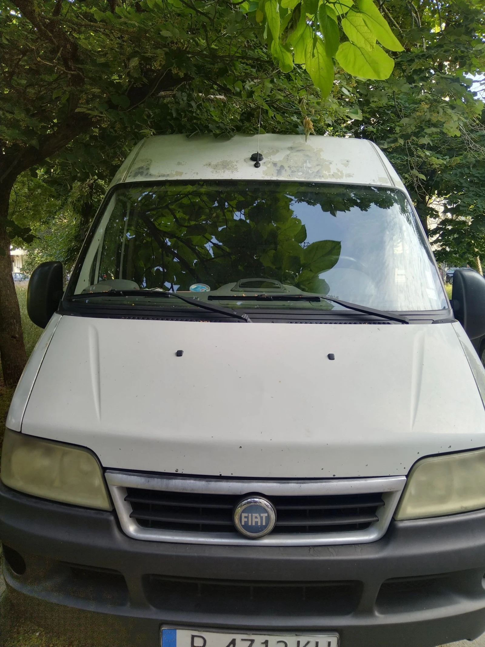 Fiat Ducato