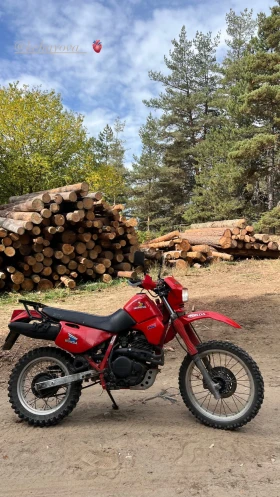 Honda Xl 600 RM PD04 | Mobile.bg    4