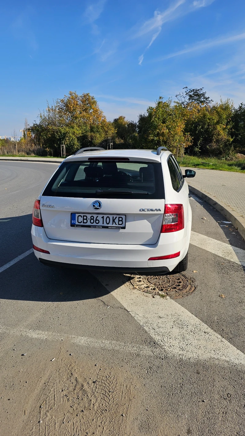 Skoda Octavia Реални 116300км Един собственик Сервиз в Еуратек, снимка 3 - Автомобили и джипове - 47802593