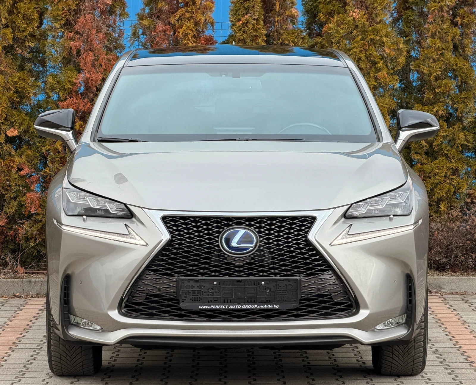 Lexus NX 300h F-SPORT-KEYLES-ПАНОРАМА-ПОДГРЕВ-КАМЕРА-153Х.КМ-ТОП - изображение 7