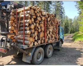 Mercedes-Benz 2228, снимка 9