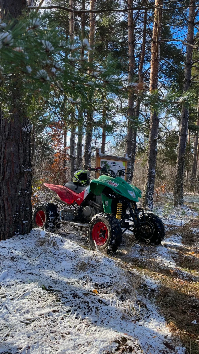 Dinli Centhor 450 Кубика, снимка 5 - Мотоциклети и мототехника - 52916660