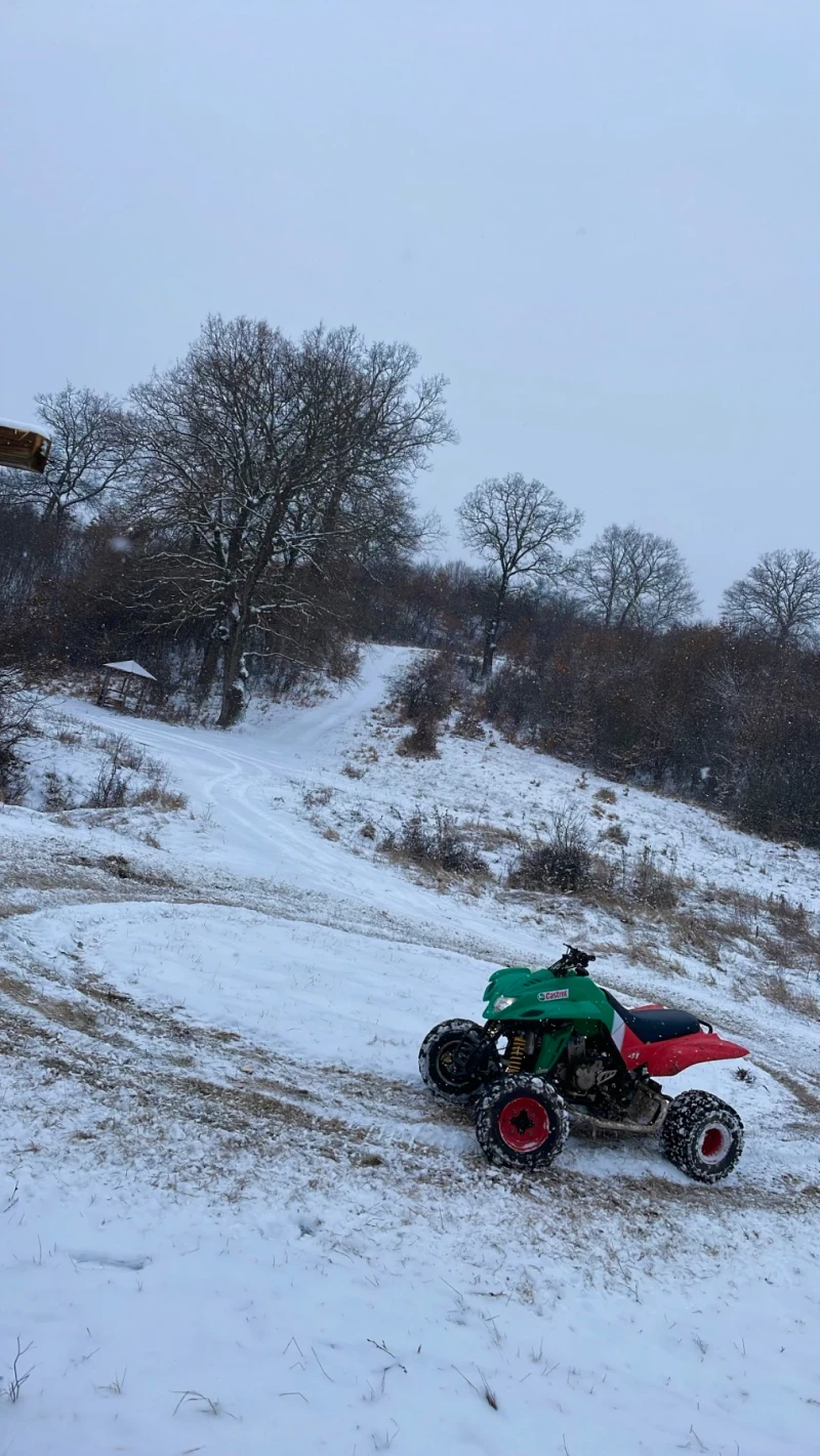 Dinli Centhor 450 Кубика, снимка 6 - Мотоциклети и мототехника - 52916660