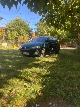 Peugeot 206 Roland Garros | Mobile.bg    5