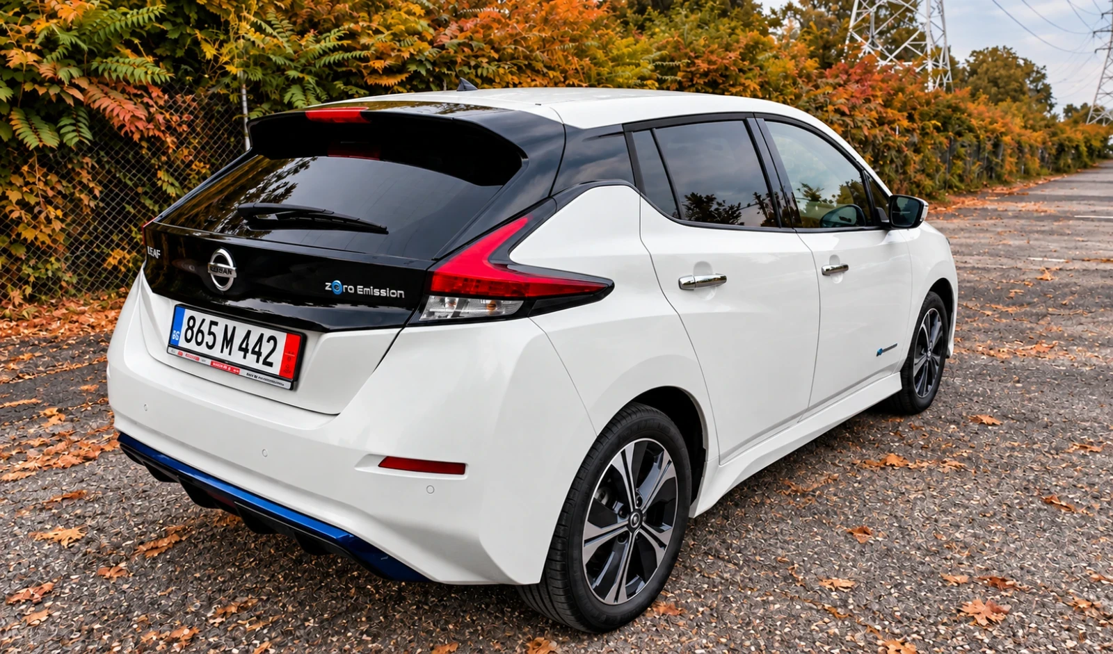 Nissan Leaf  Nissan Leaf 64Wh BOSSE, KAMERA 360, ����� �����  | Mobile.bg � ����������� 4