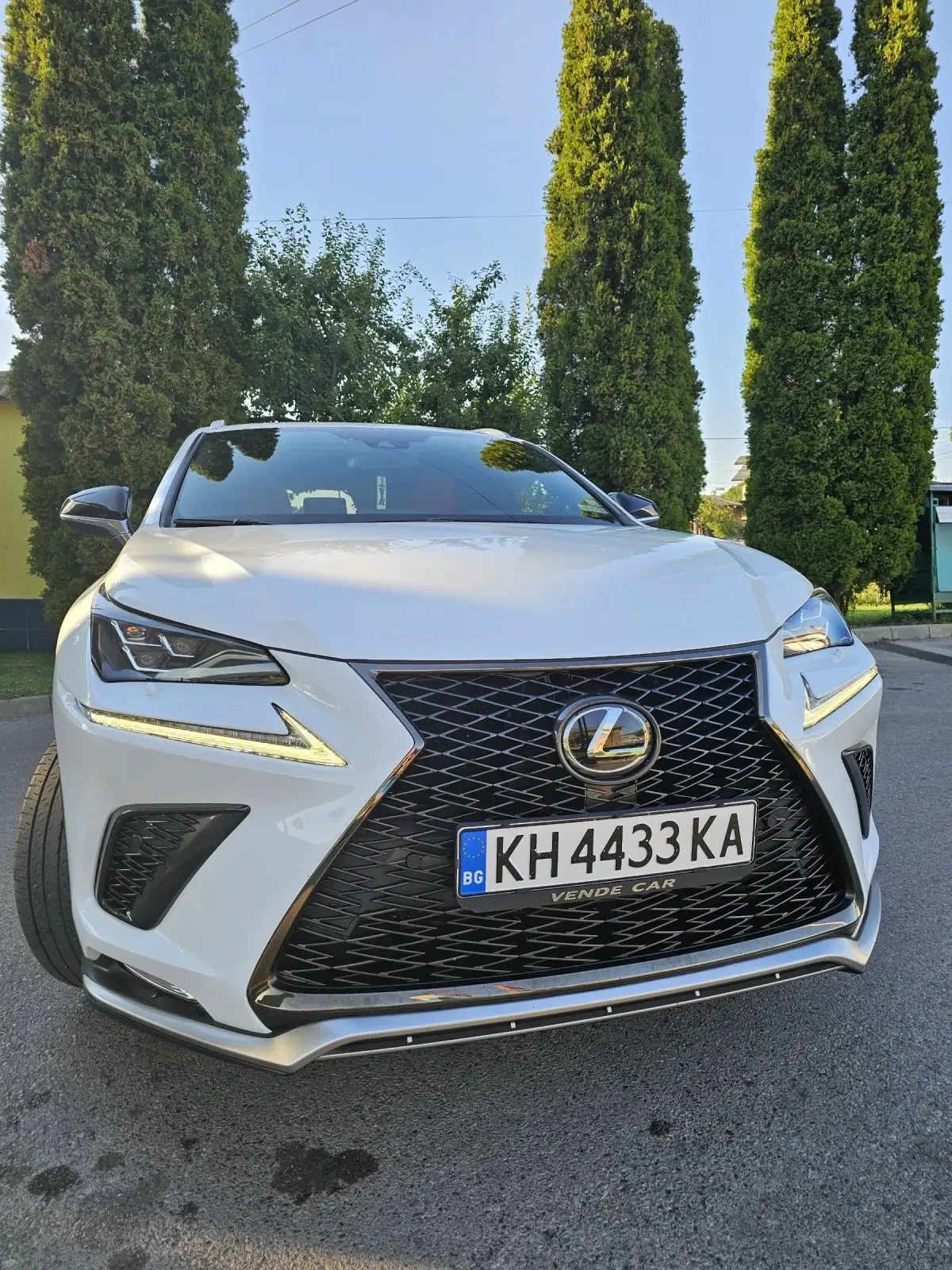 Lexus NX 300 NX300 F-SPORT - изображение 6