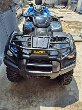  Kawasaki Brute Force