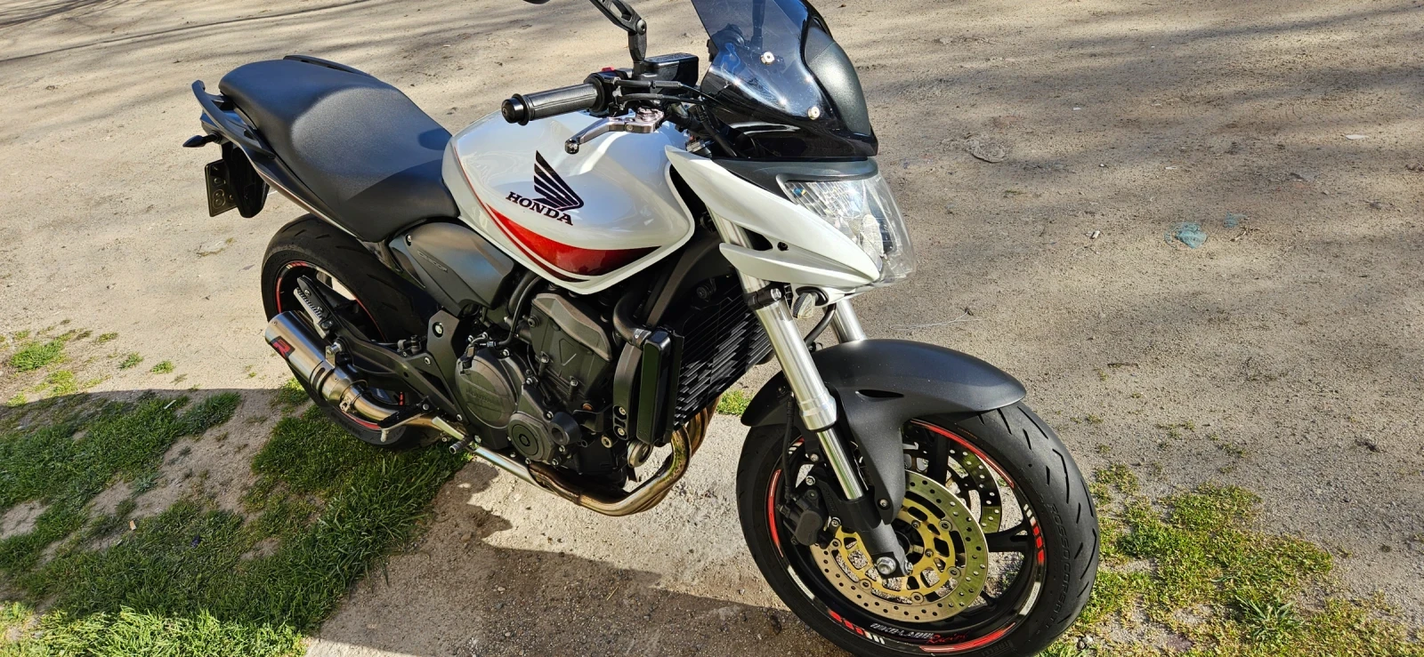 Honda Hornet