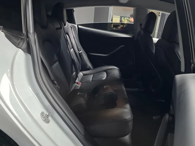Tesla Model 3 Long-Range, снимка 12 - Автомобили и джипове - 54746533