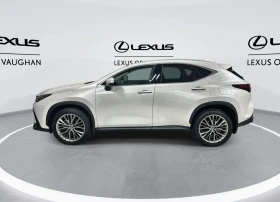 Обява за продажба на Lexus NX ULTRA PREMIUM PACKAGE 2022 ~71 000 лв. - изображение 4