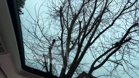 VW Touareg 4.0 TDI SCR - 40000 € / 78233.20 лв. - 57268687 13