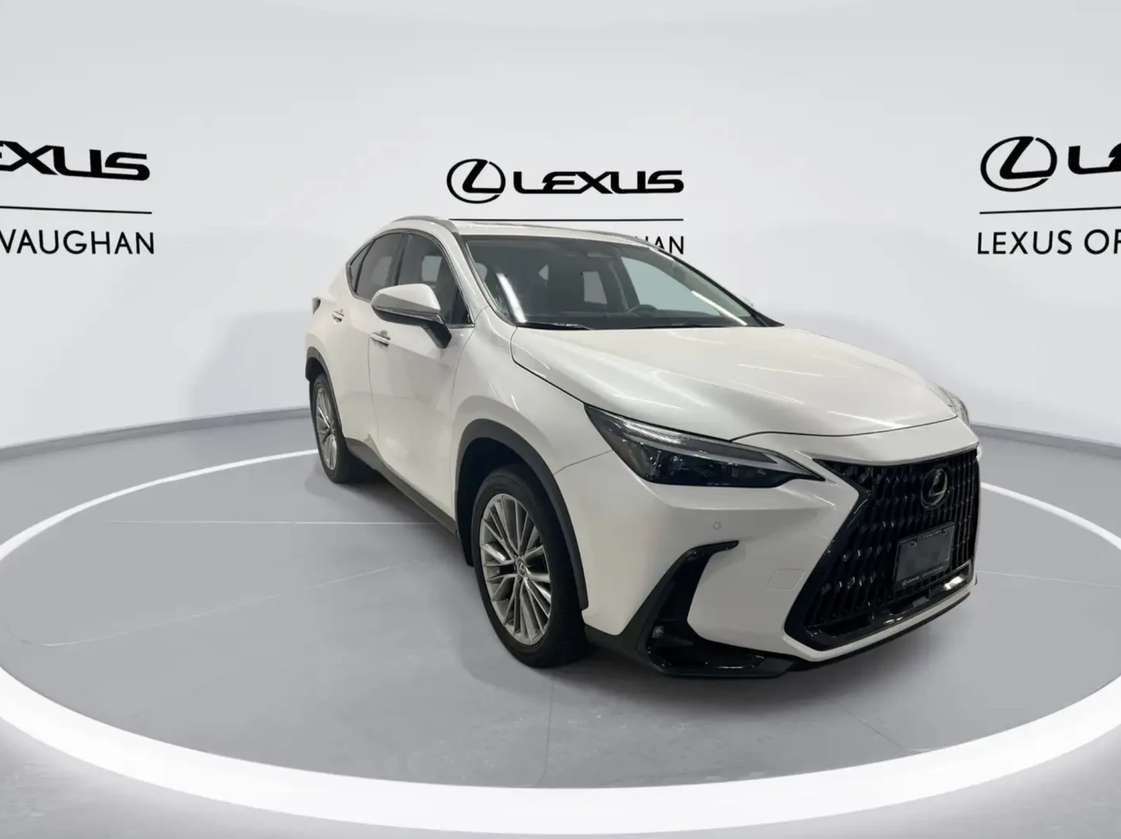 Lexus NX ULTRA PREMIUM PACKAGE 2022 - изображение 2