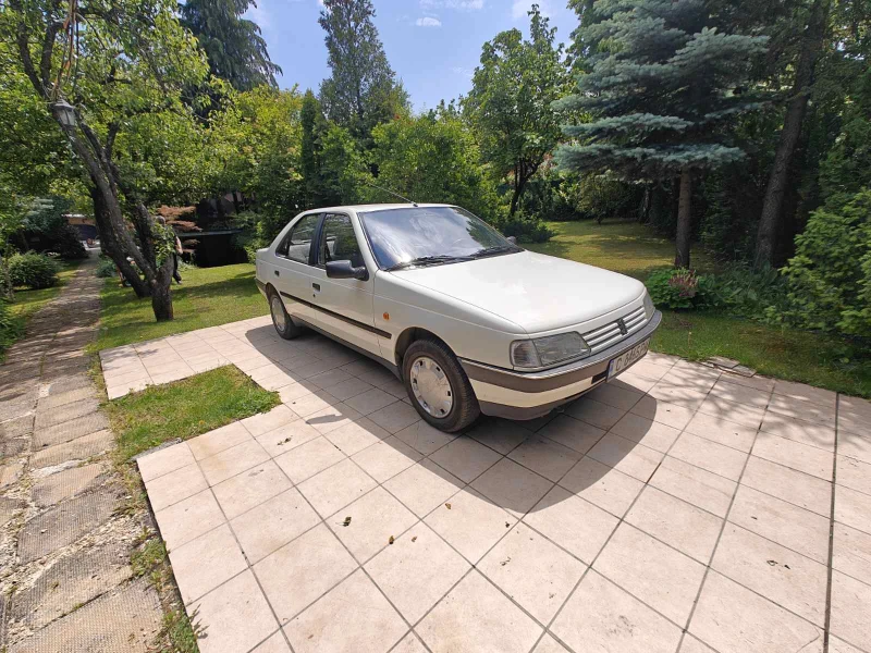 Peugeot 405