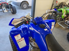 Yamaha Raptor 350сс, Special Edition, 2007г. | Auto.bg — изображение 13
