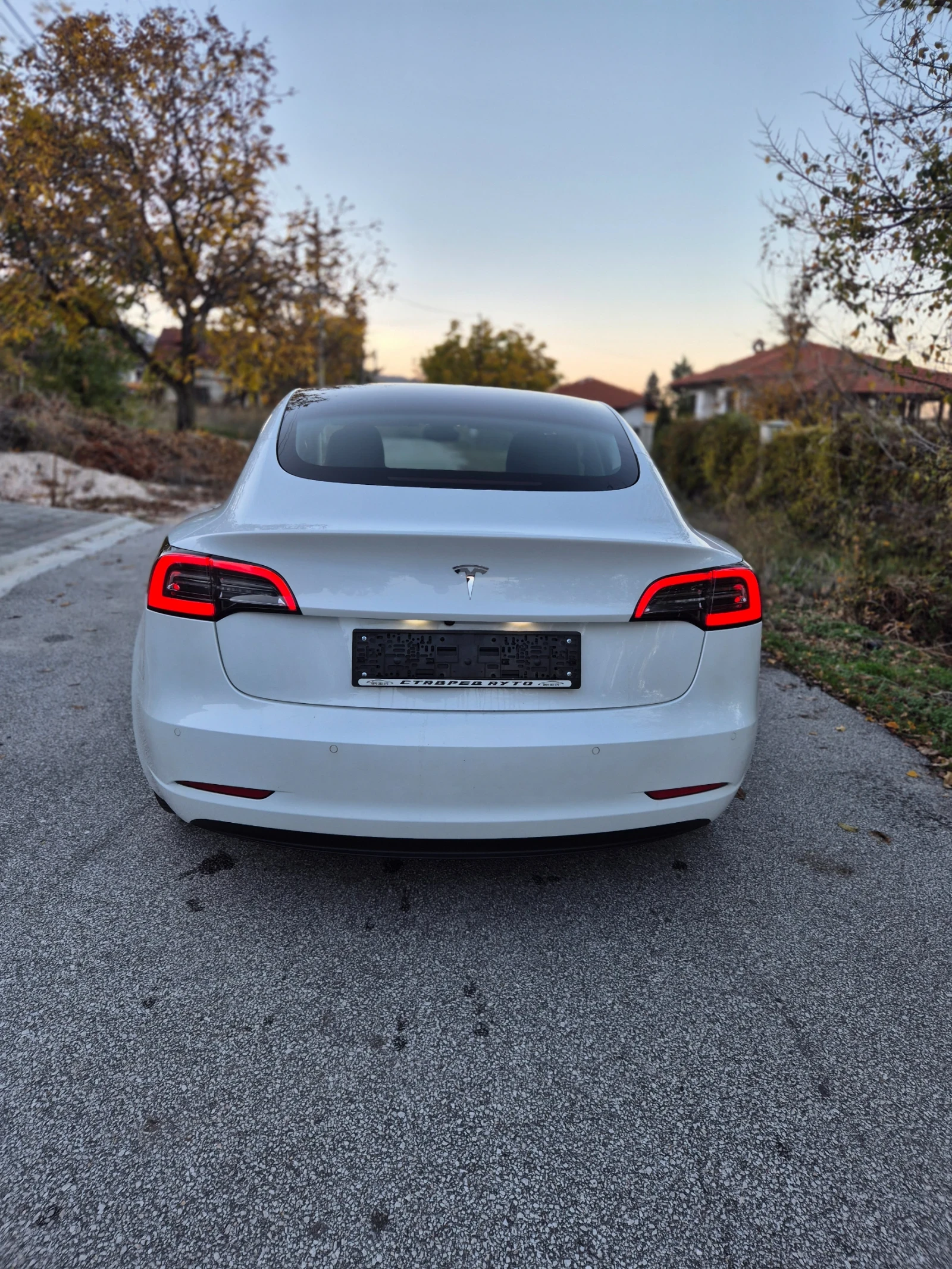 Tesla Model 3 Standard range/62000/12.21 | Mobile.bg   6
