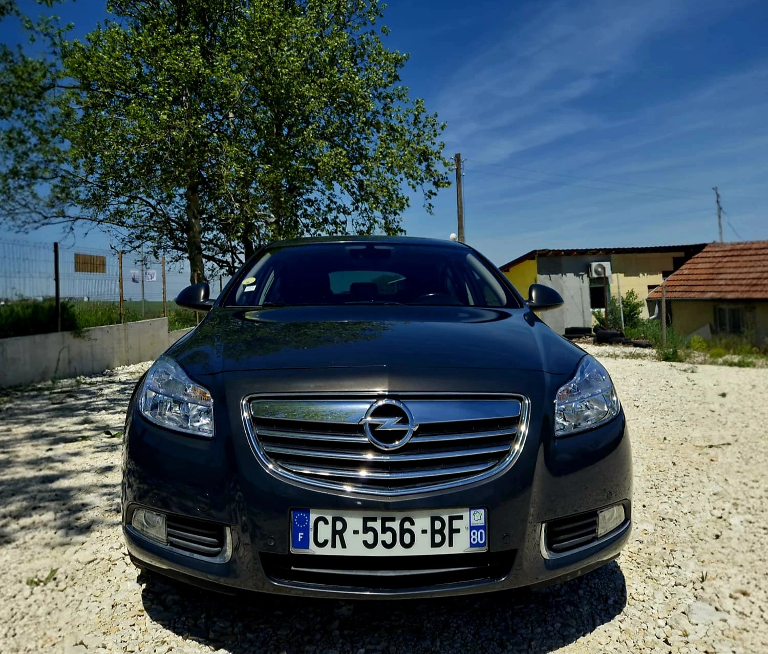 Opel Insignia 2.0 CDTI Navi Cosmo, снимка 3 - Автомобили и джипове - 54564309