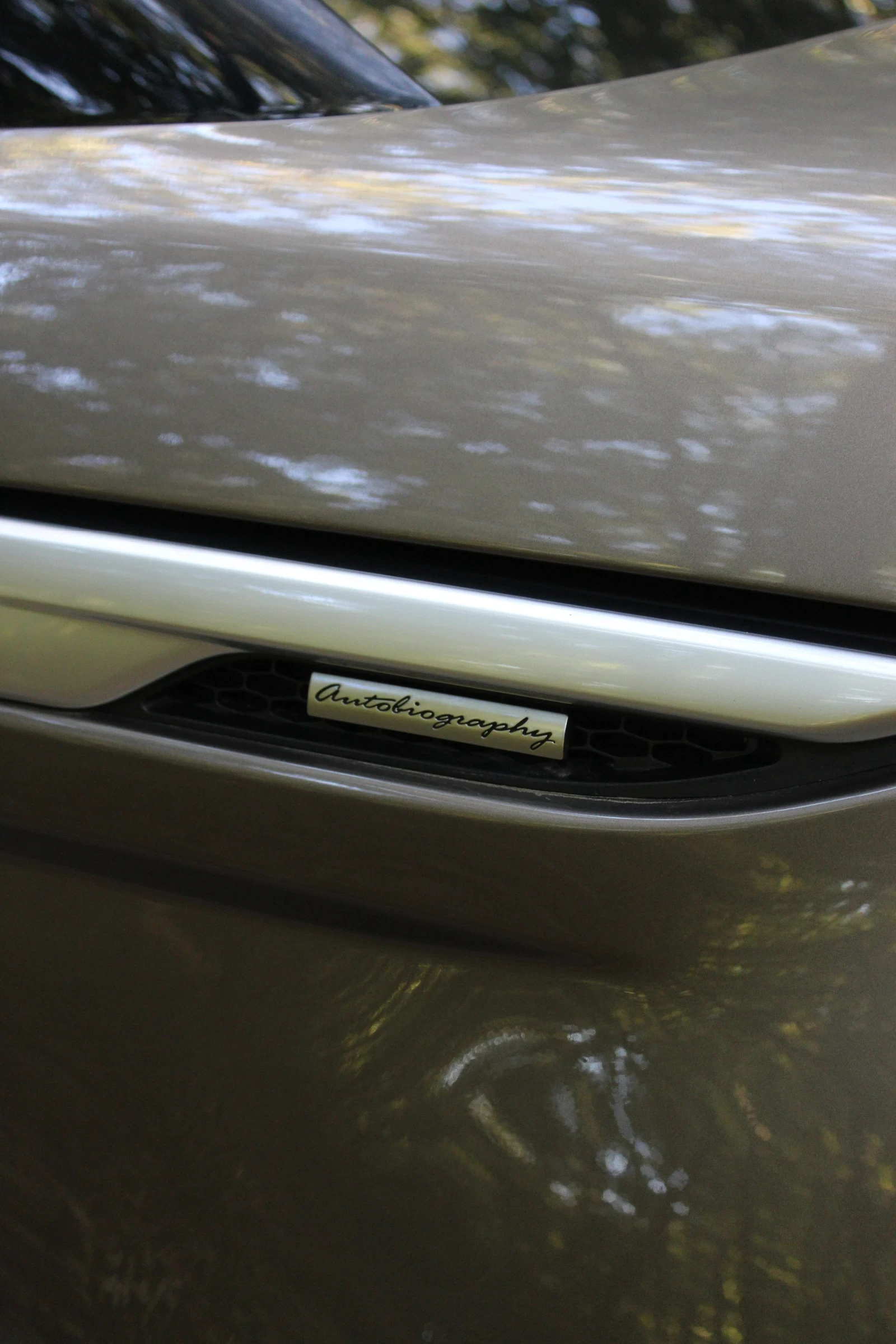 Land Rover Range Rover Evoque Autobiography  - изображение 3