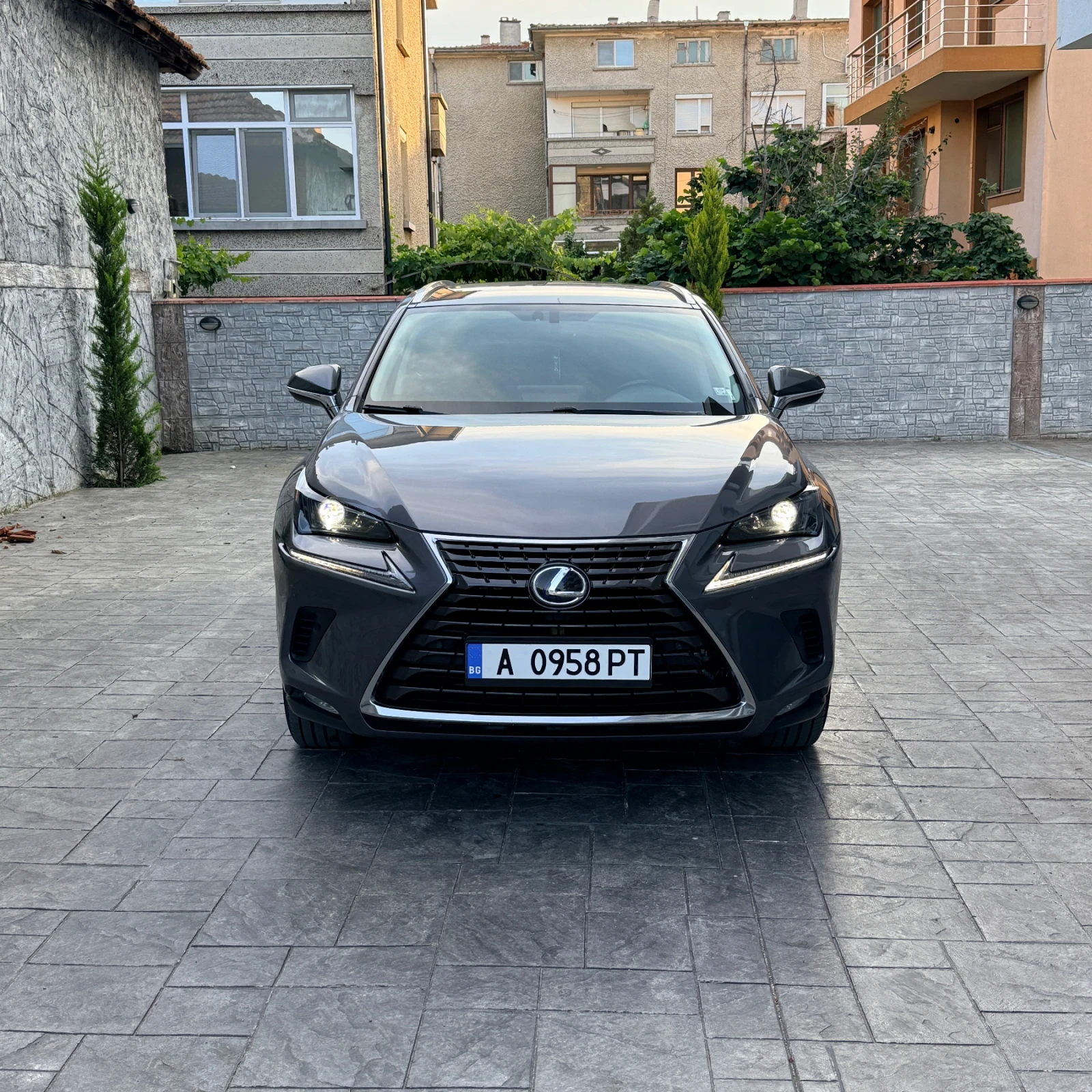 Lexus NX 300h