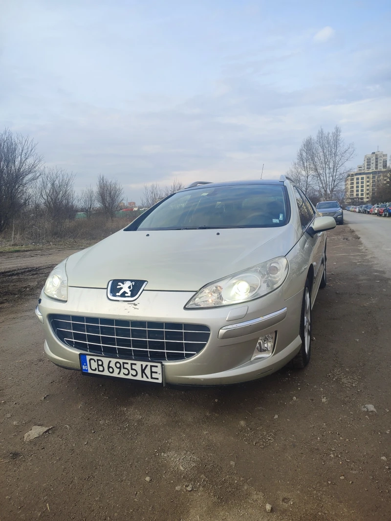 Peugeot 407 2.0 HDI SW, снимка 1 - Автомобили и джипове - 49354631