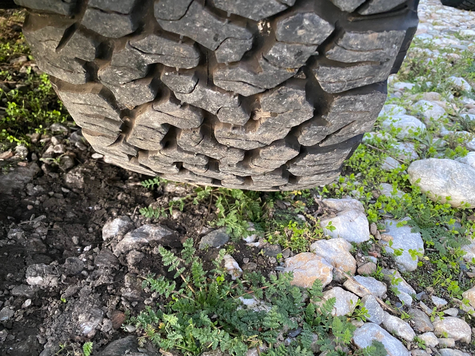 Ford Ranger -3.2TDCI-WILDTRAK/ | Mobile.bg   15