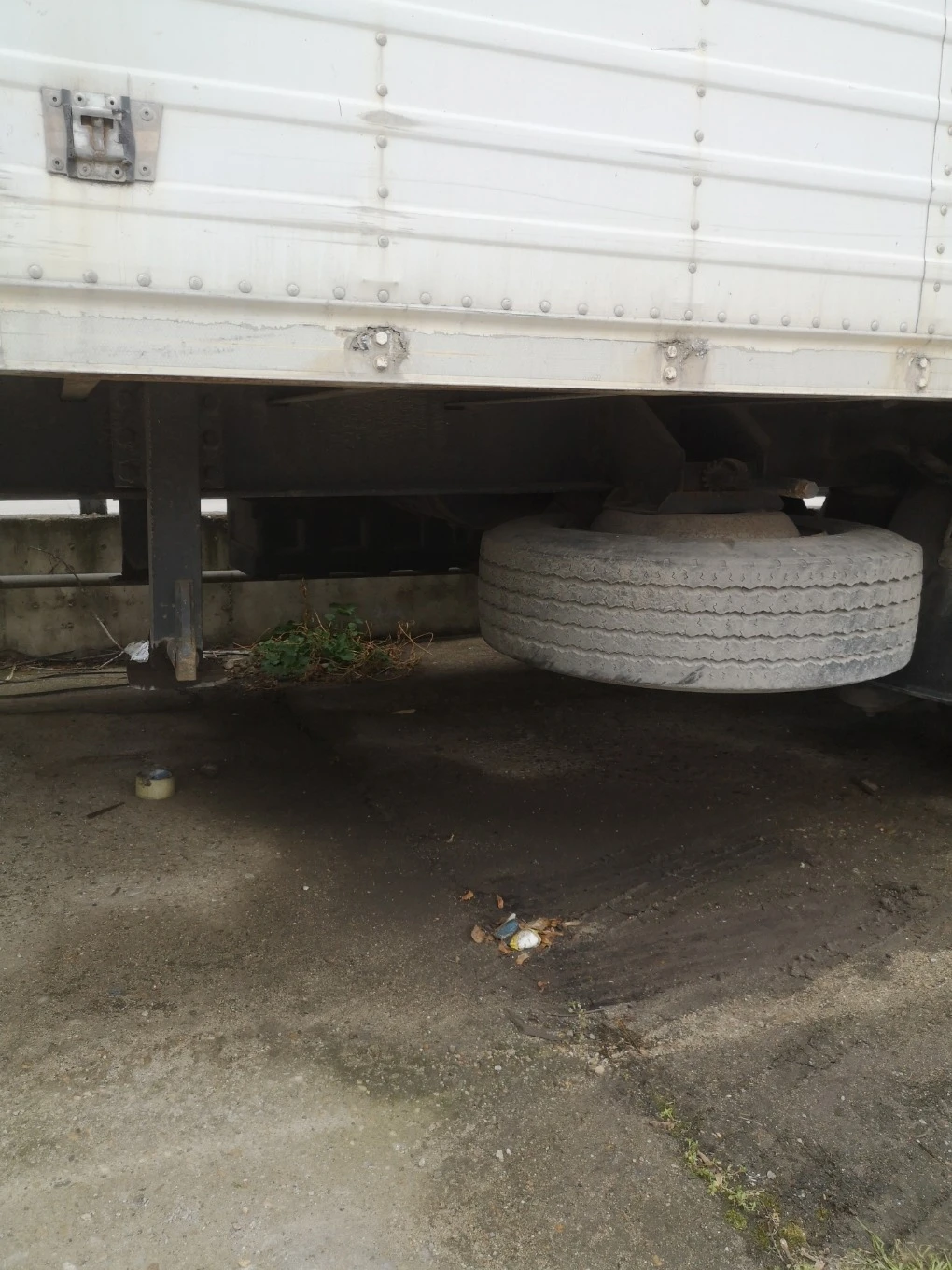   PEZZAIOLI BCT 22 | Mobile.bg   4