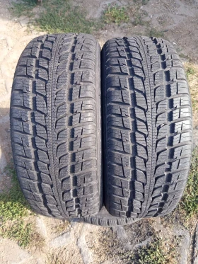 ����� �� �������� �� ���� 195/55R15