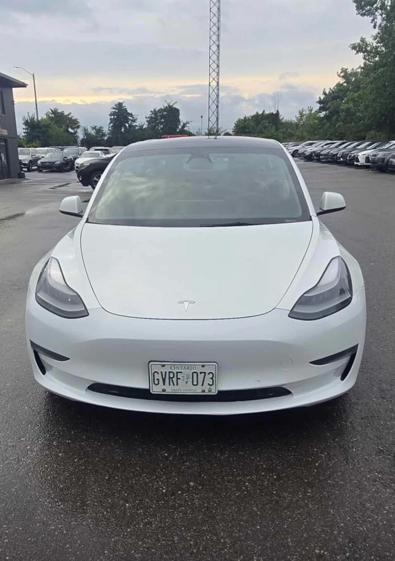 Tesla Model 3 Long Range | CARFAX | ��������������� | Mobile.bg � ����������� 5