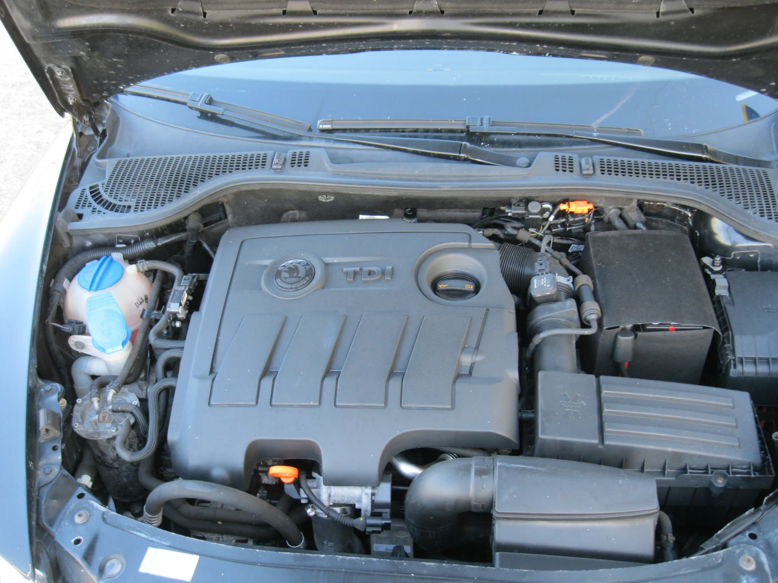 Skoda Octavia, снимка 9 - Автомобили и джипове - 54321635