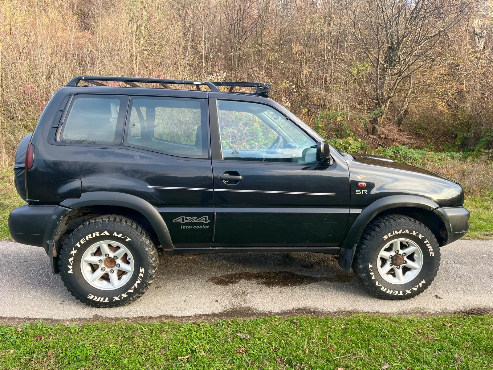 Nissan Terrano 2, 7TDI - изображение 4