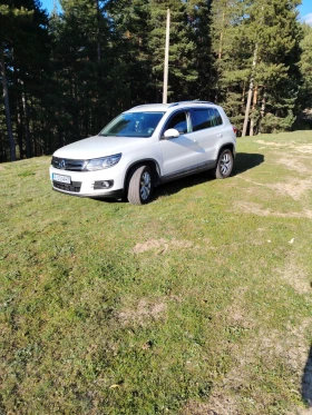 VW Tiguan | Mobile.bg � ����� ������ 14