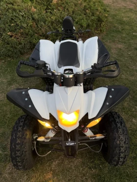 Jinlun JL 250 250cc ЗАДНА РЕГ-КАТ  | Auto.bg — изображение 10