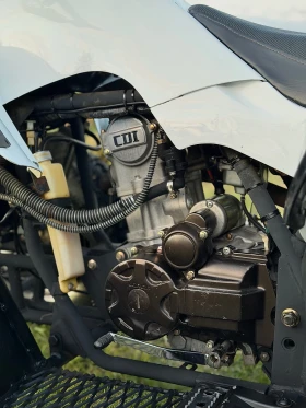 Jinlun JL 250 250cc ЗАДНА РЕГ-КАТ  | Auto.bg — изображение 8