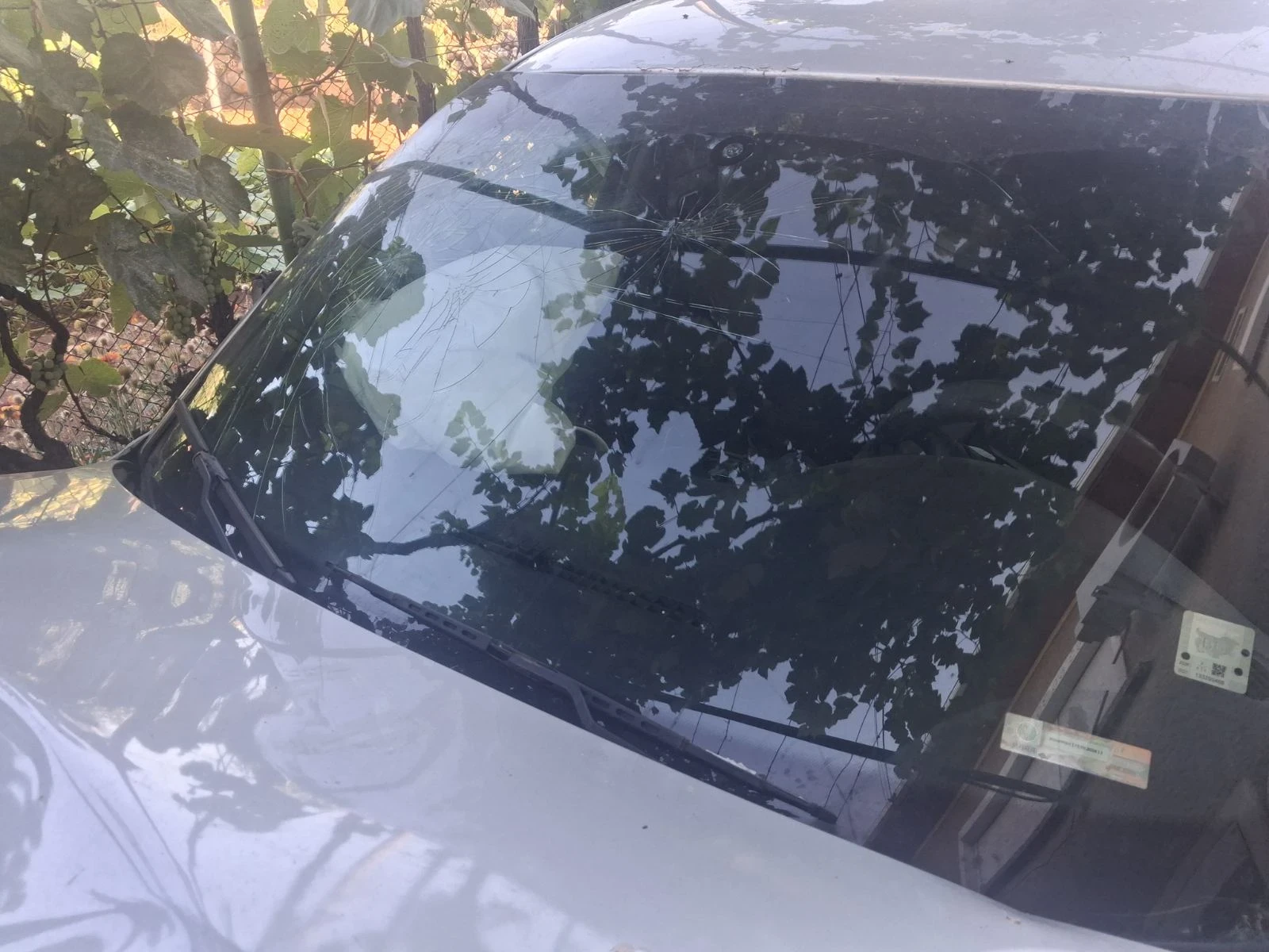 VW Passat | Mobile.bg   10