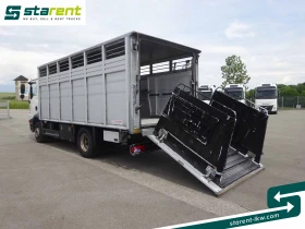 Man Tgm LKW25024 | Mobile.bg    11