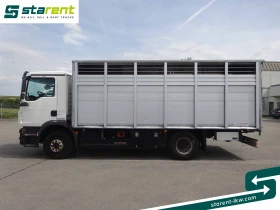 Man Tgm LKW25024 | Mobile.bg    8