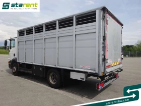 Man Tgm LKW25024 | Mobile.bg    7