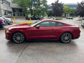 Ford Mustang * EcoBoost * CARFAX *  - 17959 € / 35124.75 лв. - 49460859 2